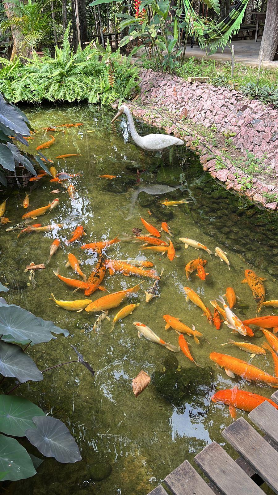 Day-Use na Chácara do Feio - Imagem 5