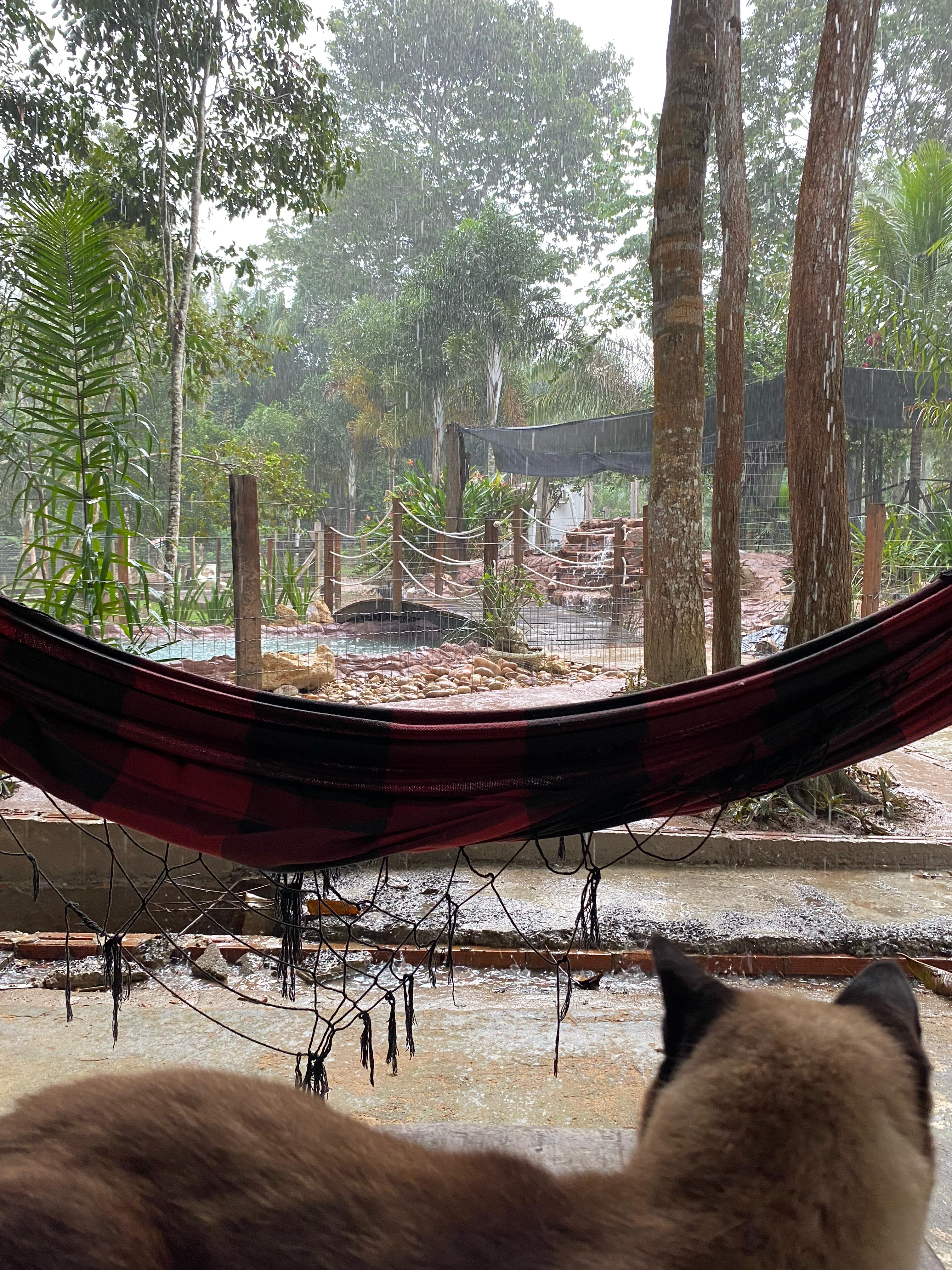 Day-Use na Chácara do Feio - Imagem 3